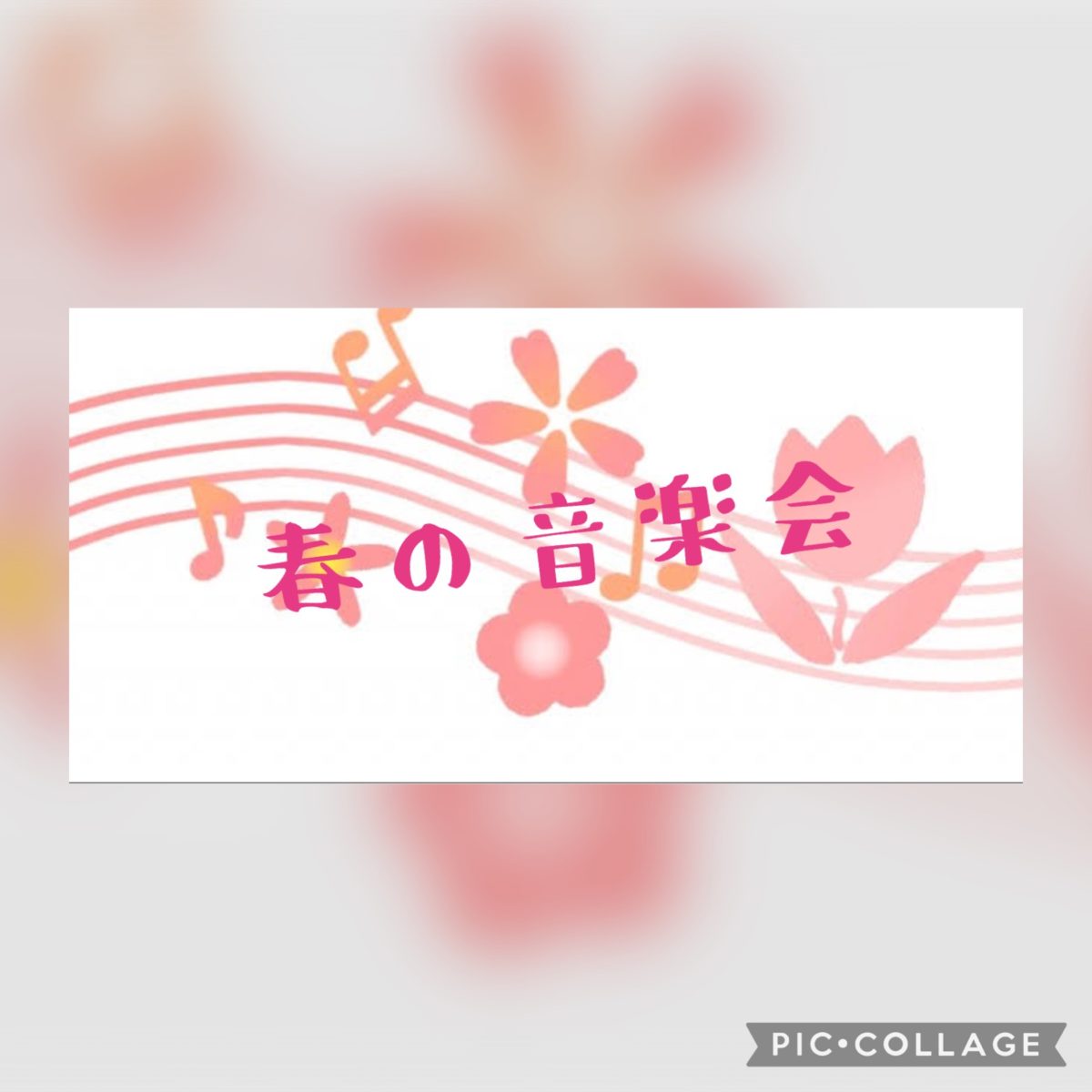 【長居公園】🎶春の音楽会🎶