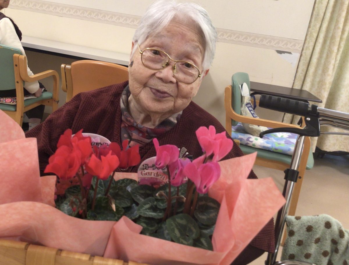 【長居公園】シクラメンの花