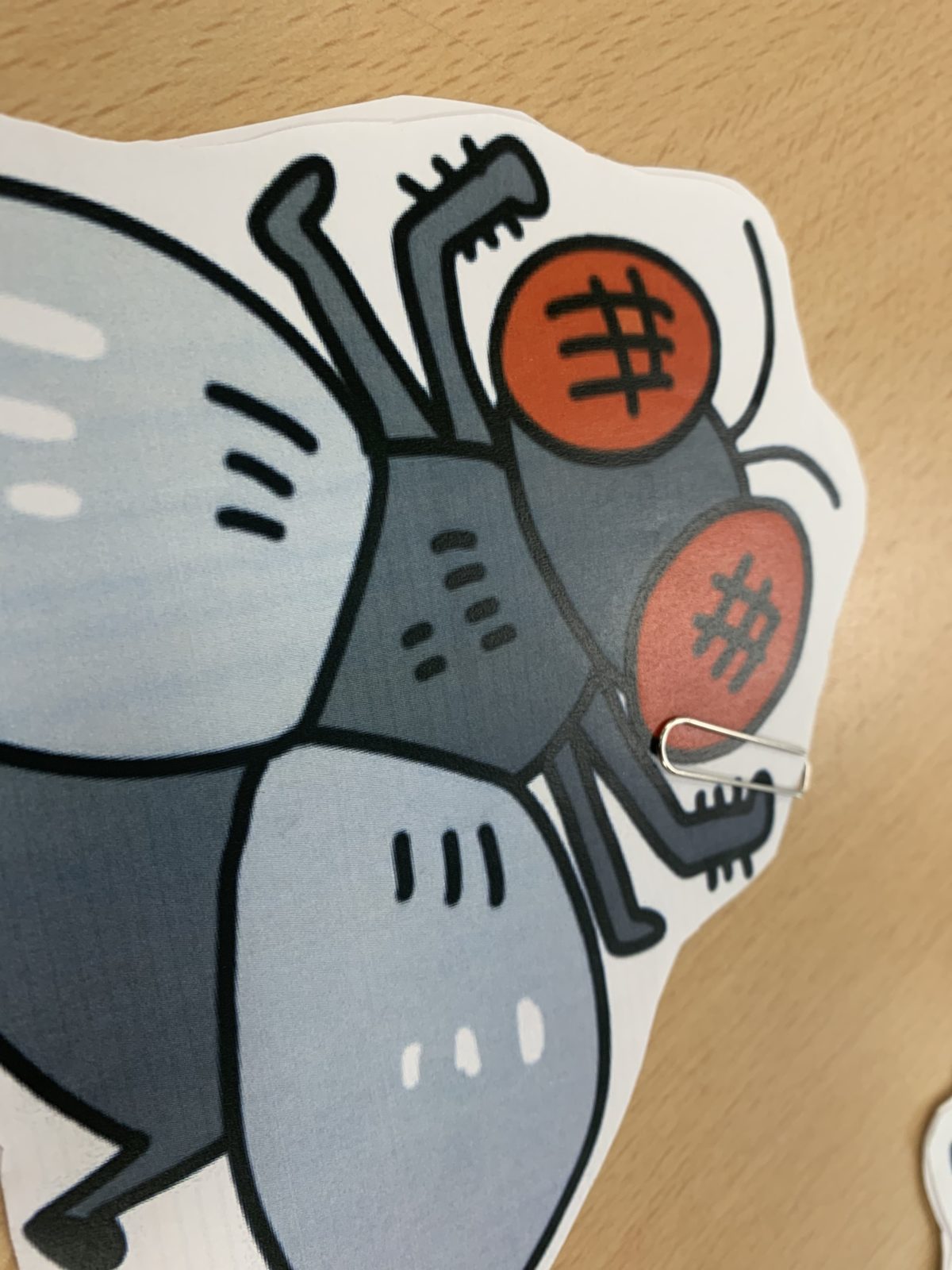 【寝屋川】ハエ叩き🪰