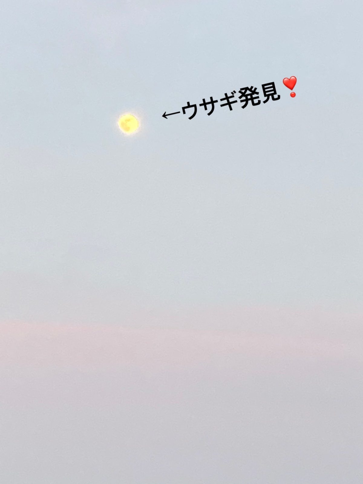 【寝屋川】お月様🌕