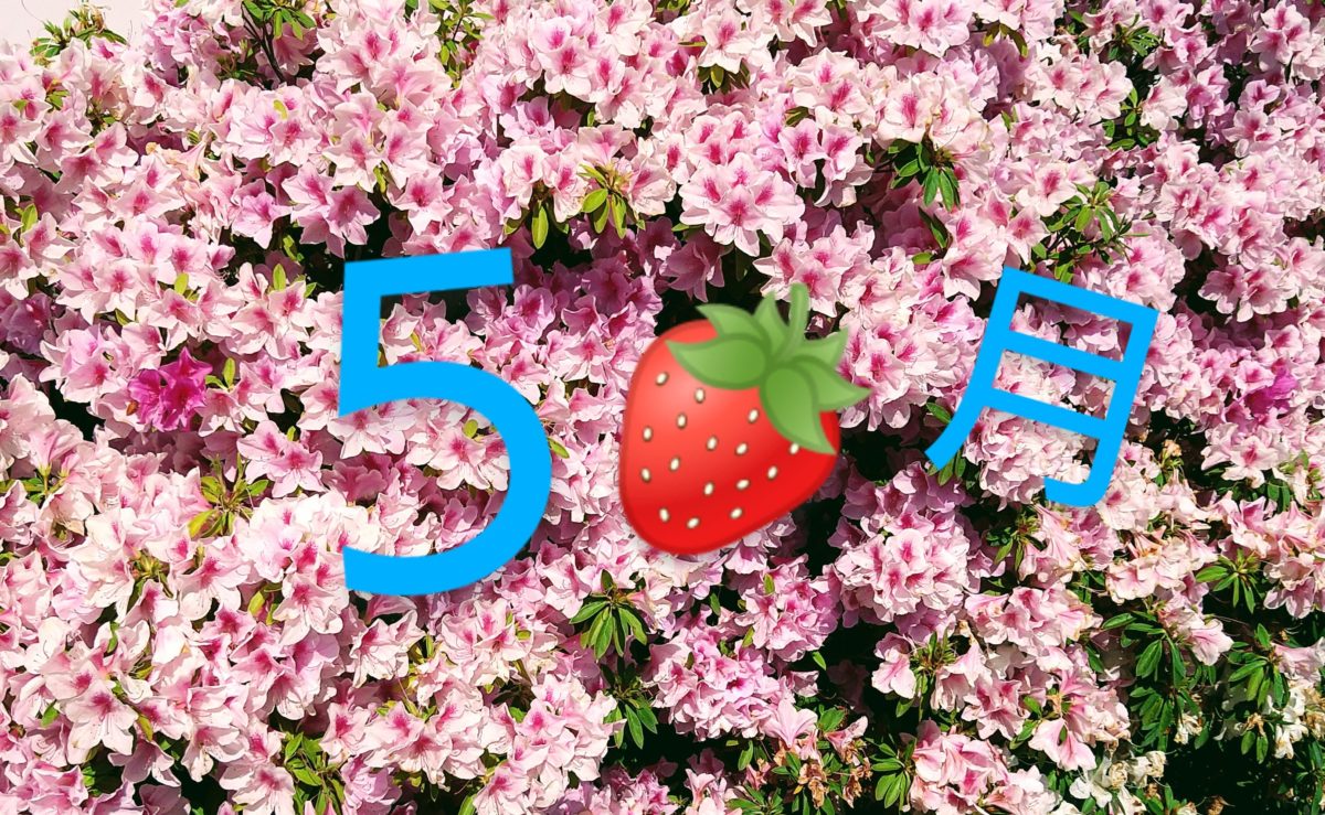 【長居公園】🌹５月イベント🌹