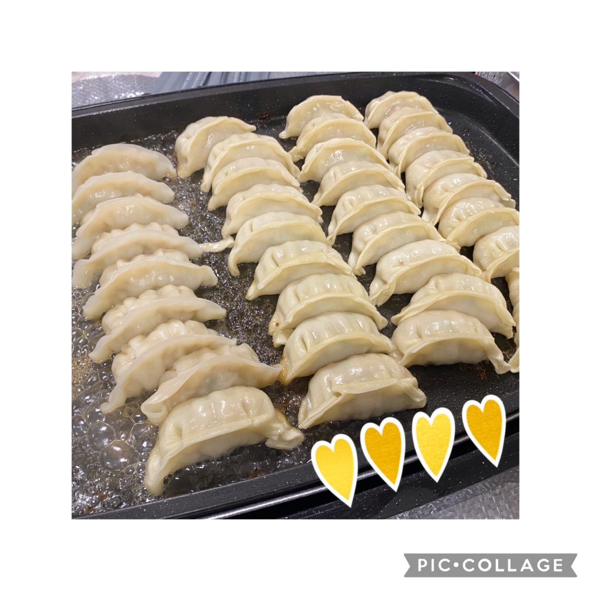 【長居公園】餃子パーティ🥟