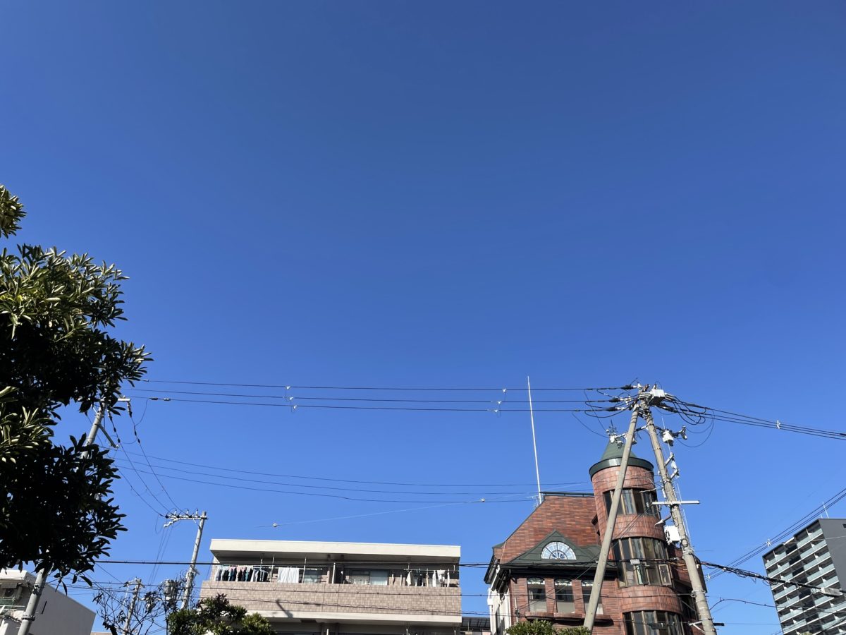 【長居公園】気持ちよかったね♫