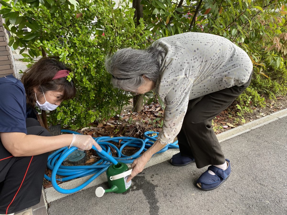 【寝屋川】お花に水をあげましょう