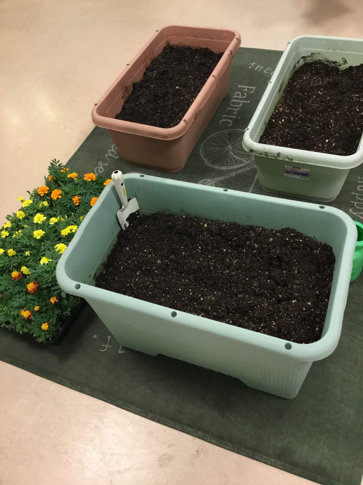 【長居公園】ガーデニング💐