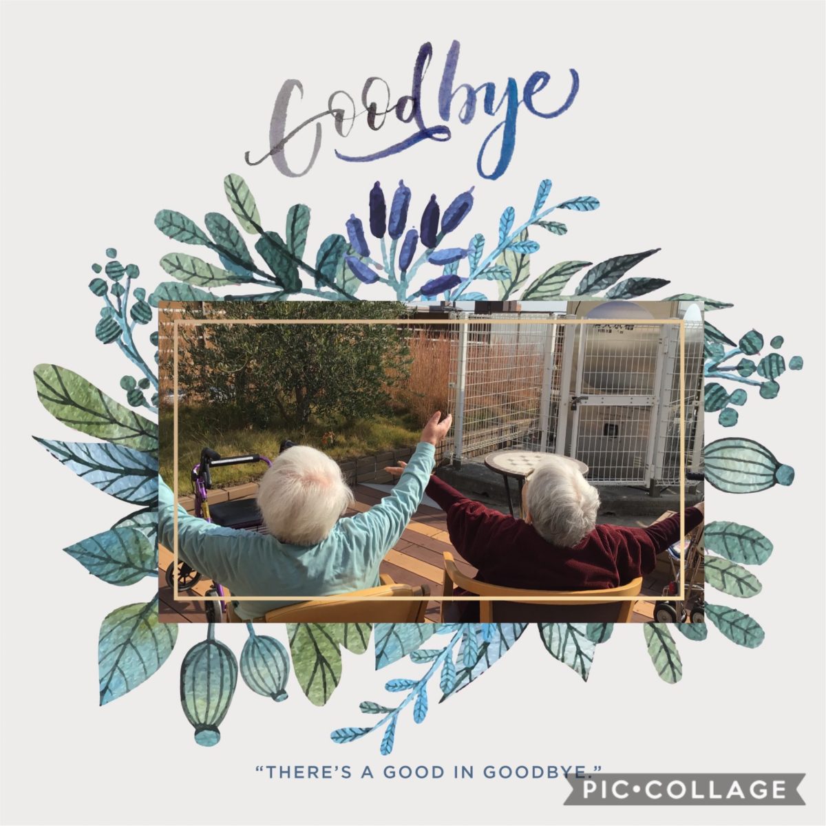 【長居公園】ほっこり☺️☀️