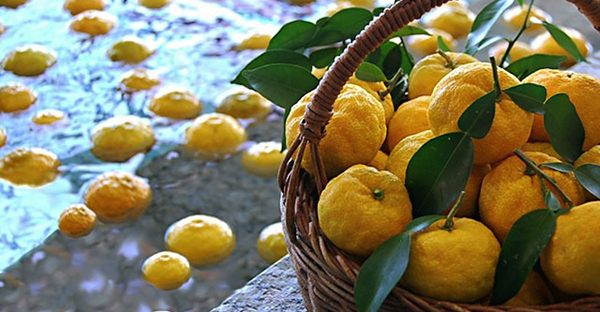 【寝屋川】ゆず湯🍋