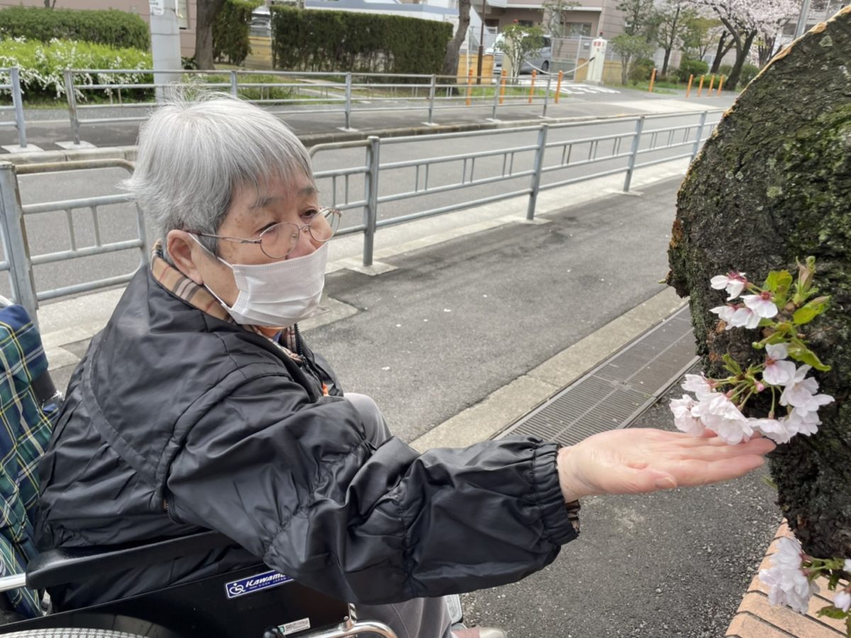 【長居公園】桜～桜～part2✌
