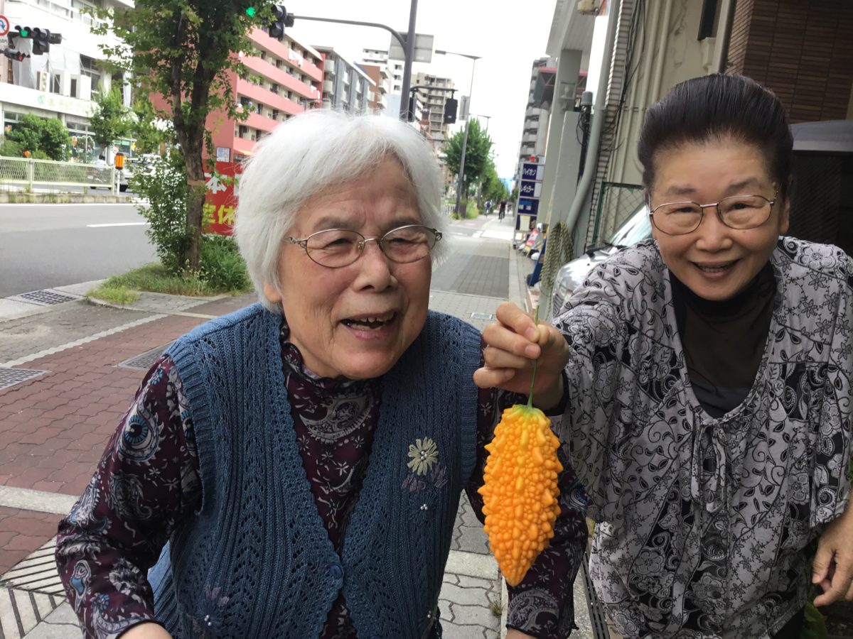【長居公園】ゴーヤ収穫祭