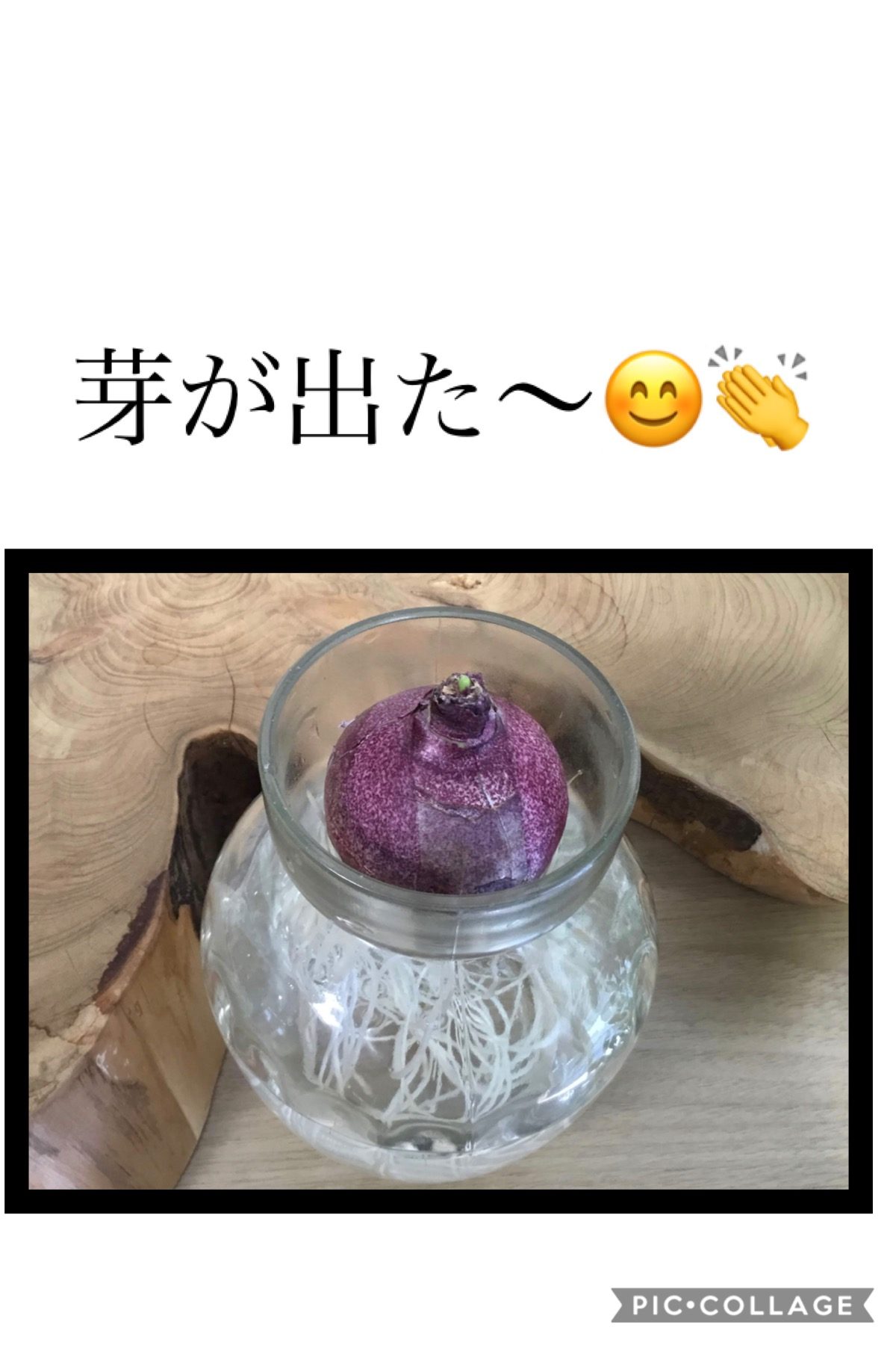 【門真】成長日記④