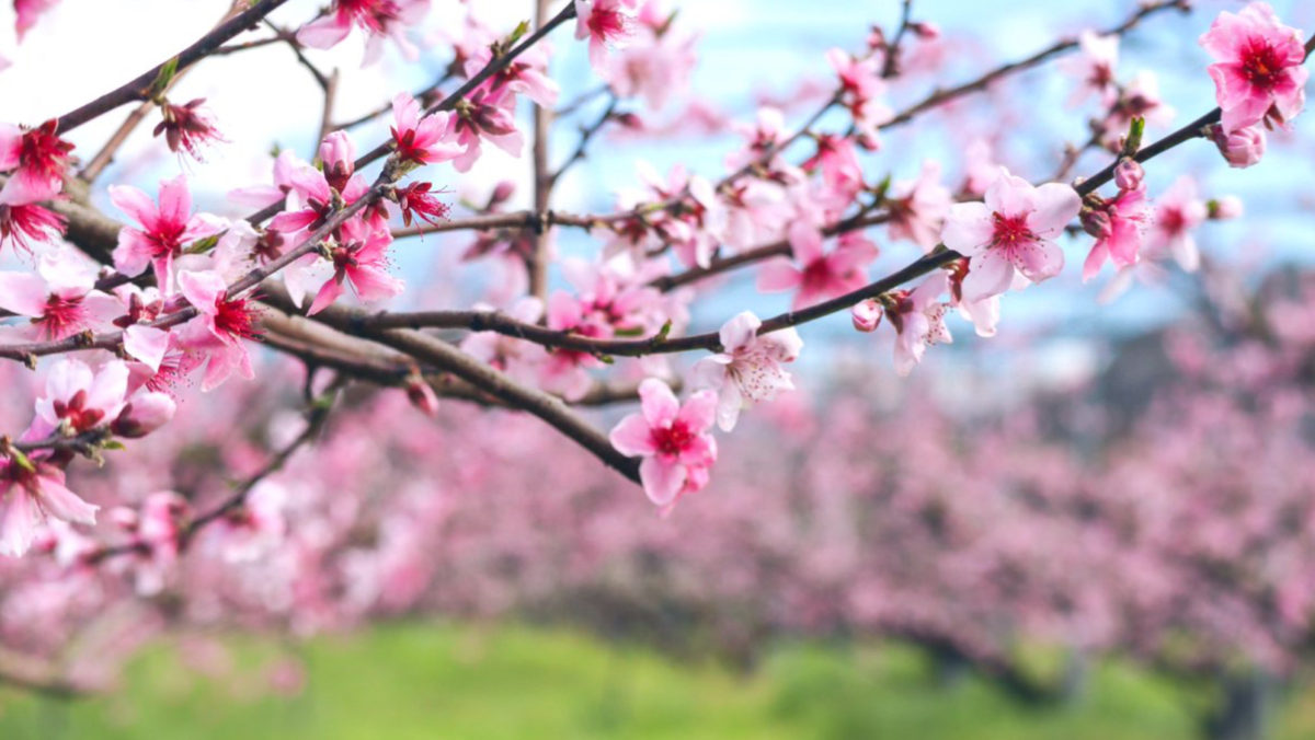 【本社】少しでも出来ることから
