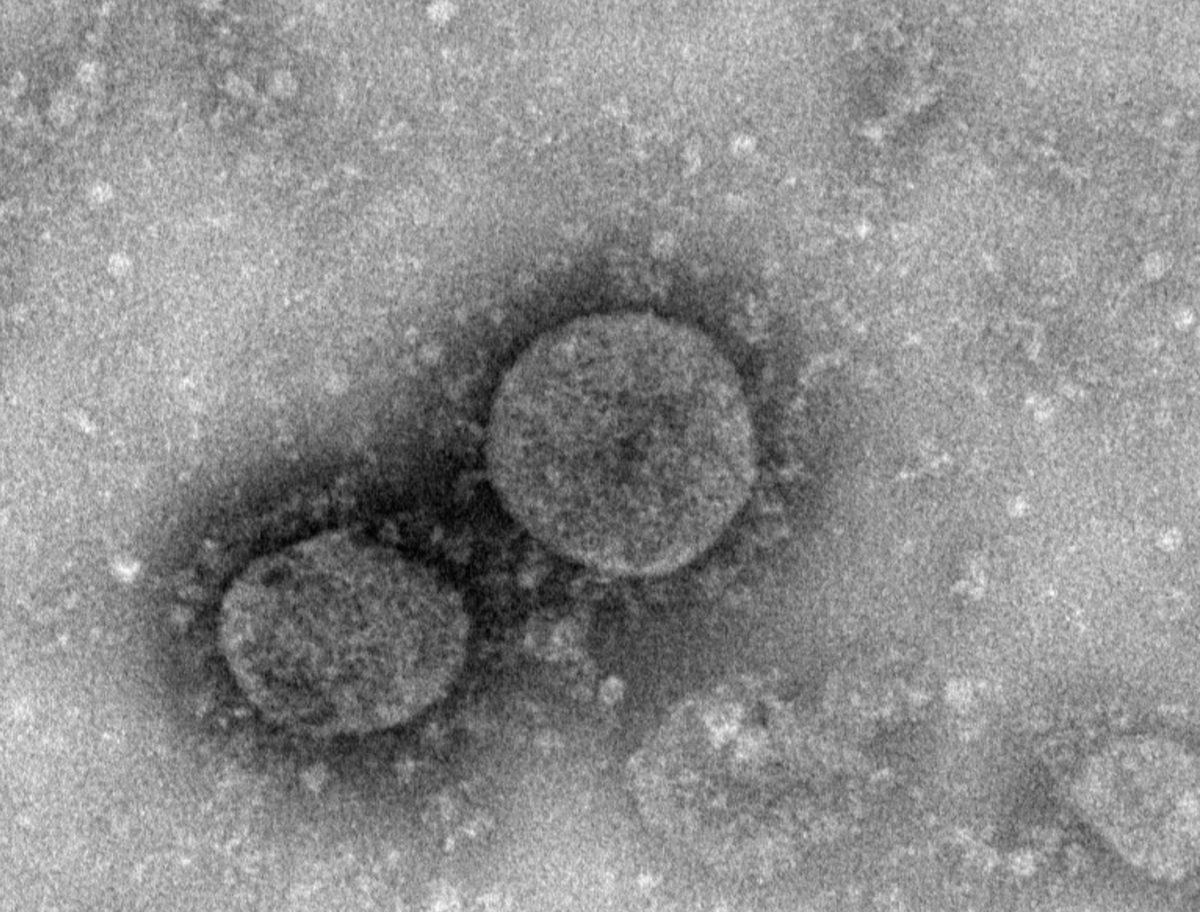 【本社】ご来訪時は必ずマスクのご持参と着用を（お願い）