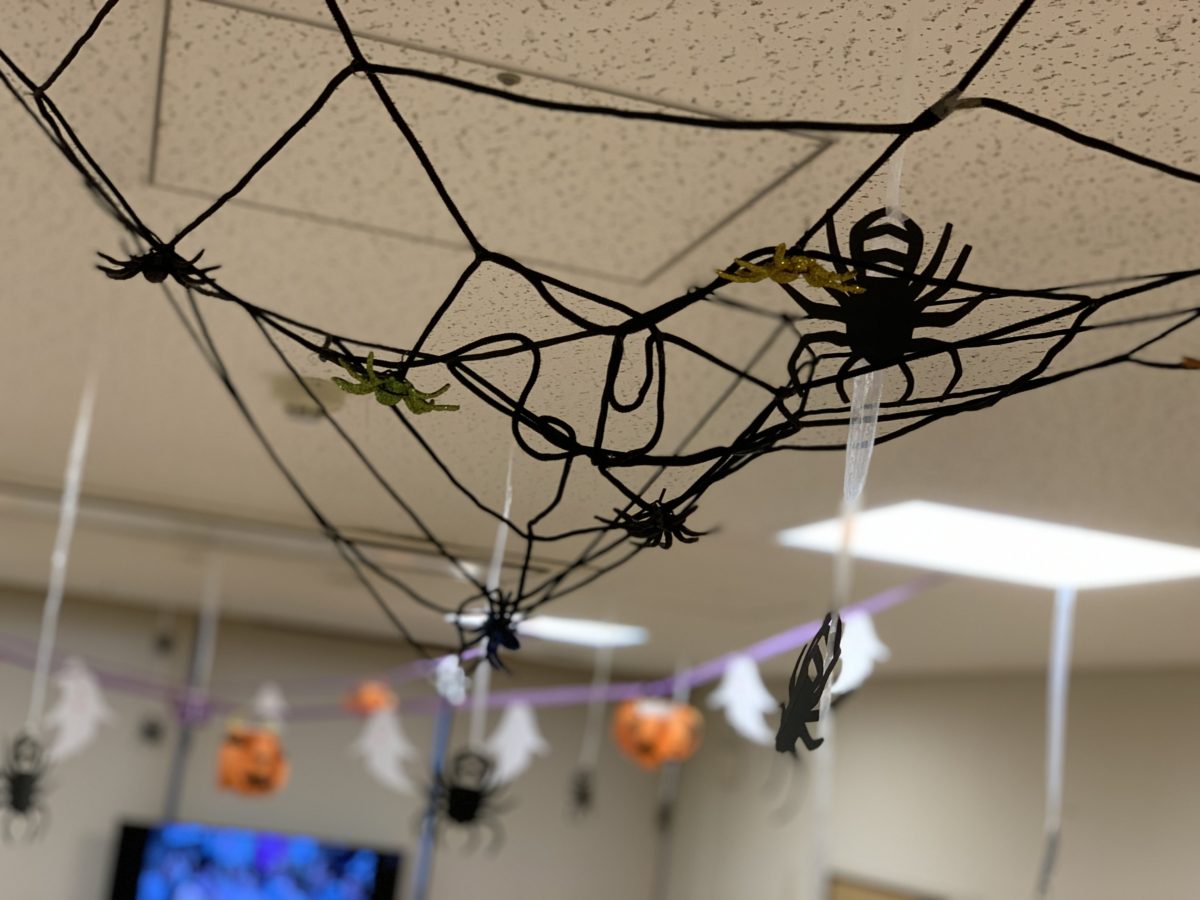 【長居公園】フロアに蜘蛛の巣がありますが決して汚れているからではございませんのでブログをご覧ください、、、、