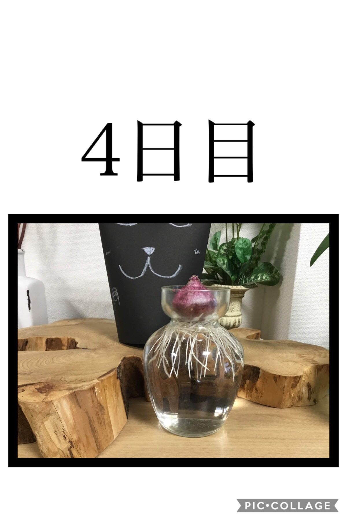 【門真】成長日記③