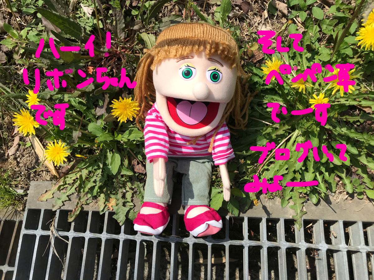 『長居公園』🌻ひまわりが頭の 上で咲く〜