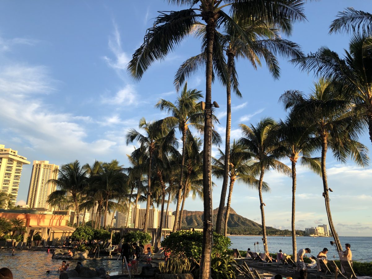 新しい仲間【寝屋川】