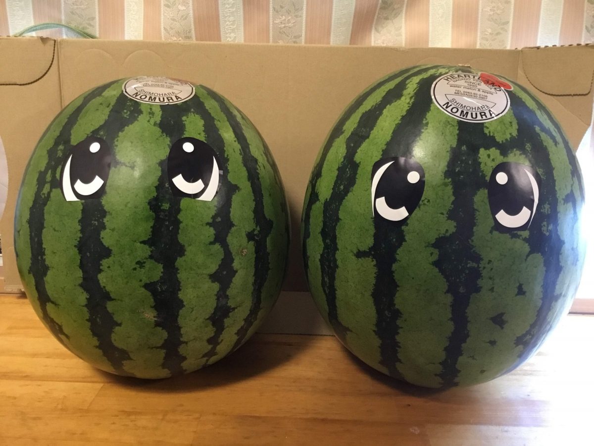 【門真】スイカ～０３日の金曜日～